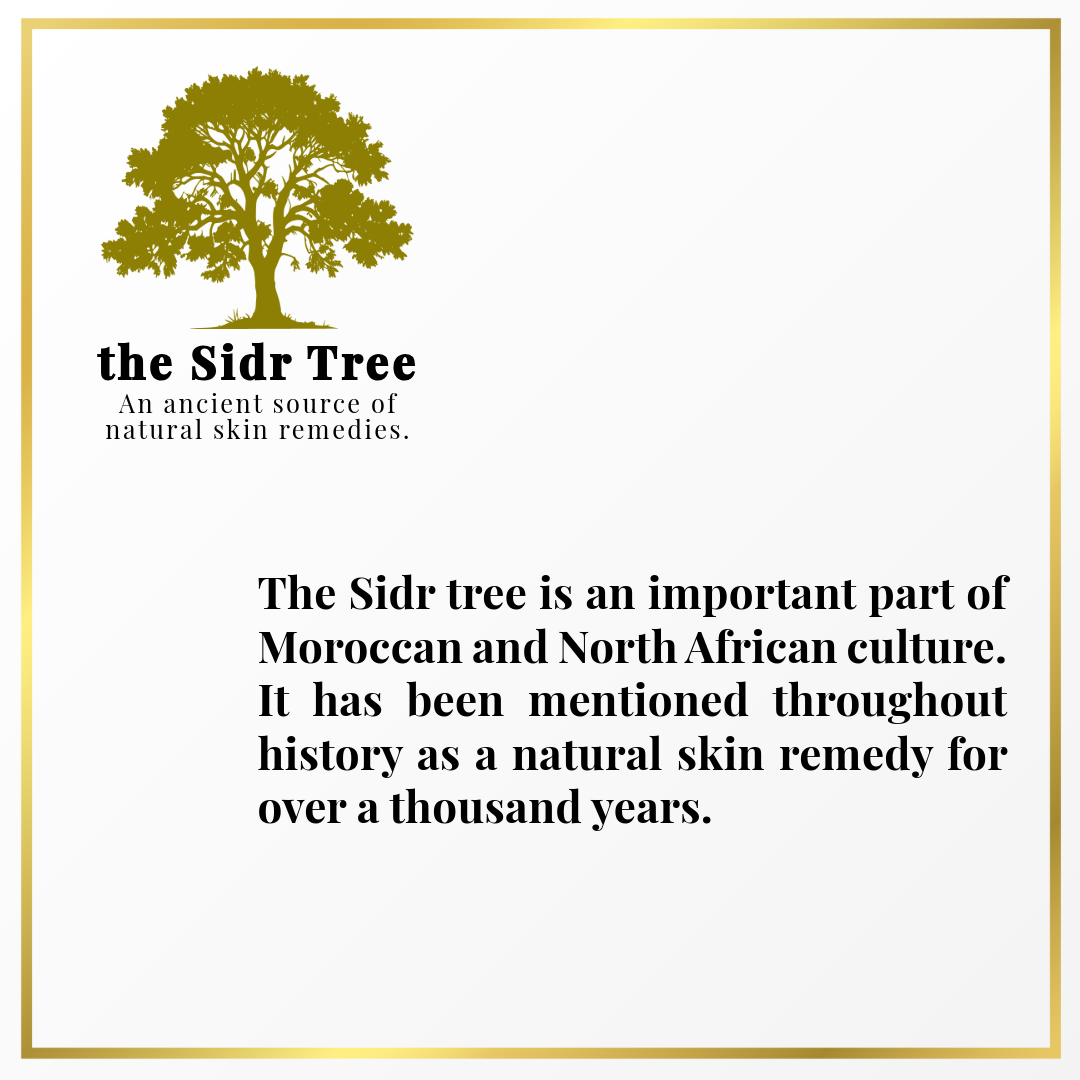 Sidr Powder for Body & Hair