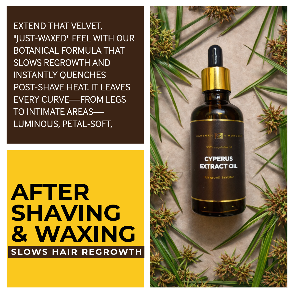 NEW! Cyperus Extract Oil