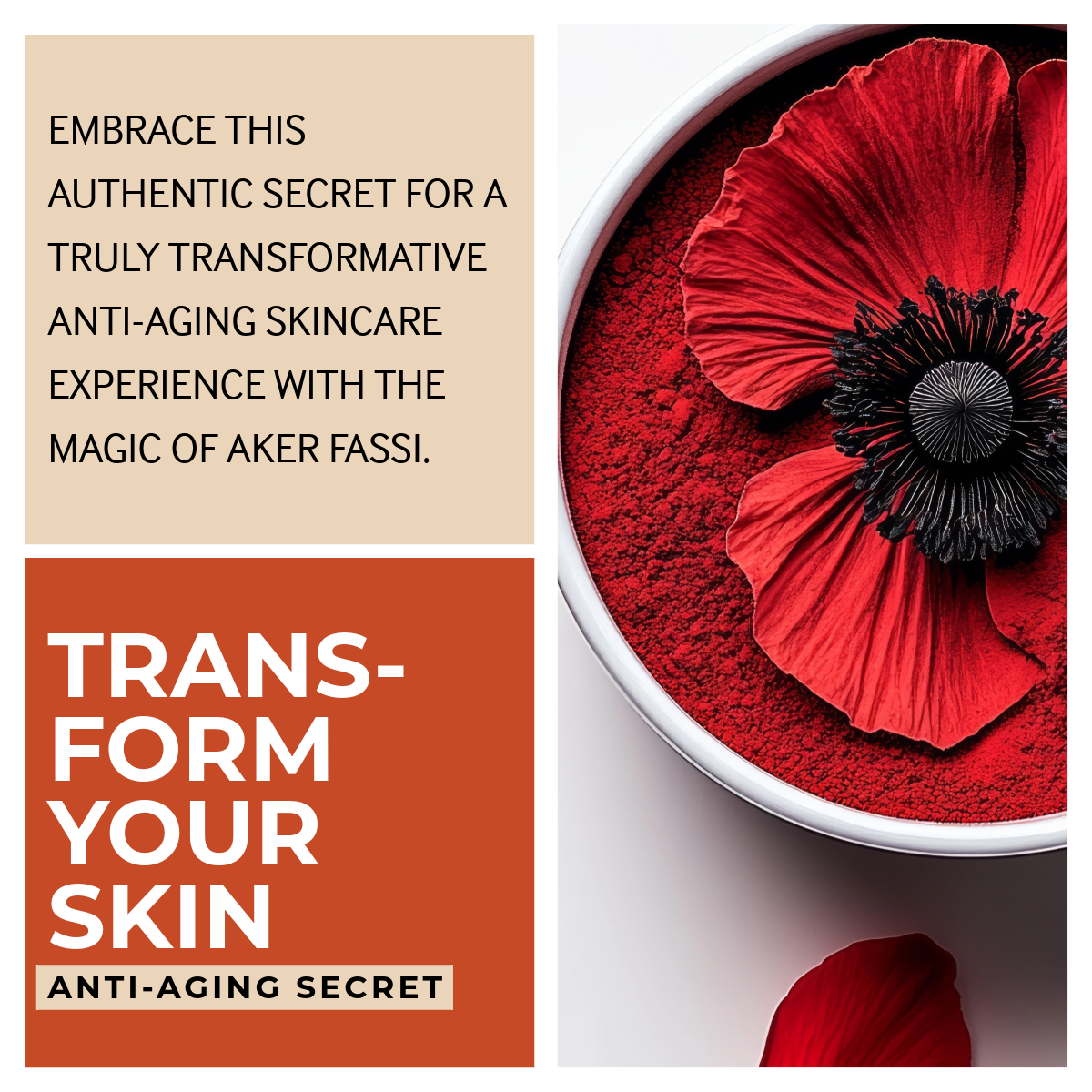 The Aker Fassi Hammam Set